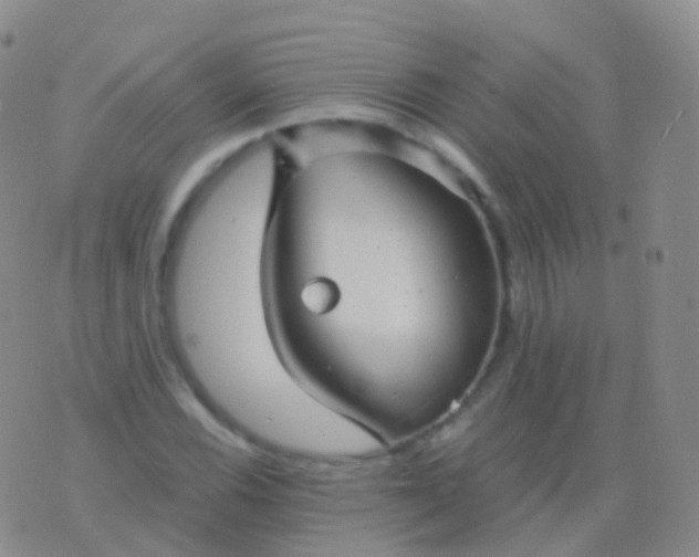 X0000076431116200610202238