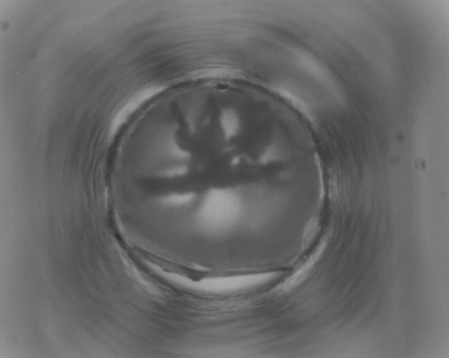 X0000076431117200610202238