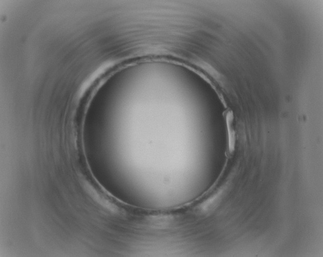 X0000076431118200610202238