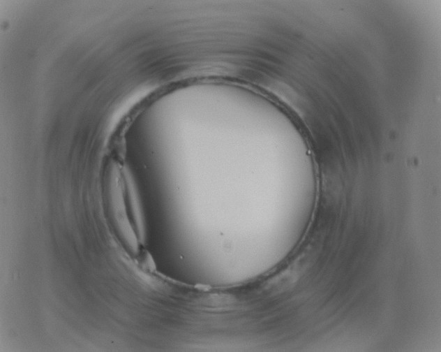 X0000076431119200610202238