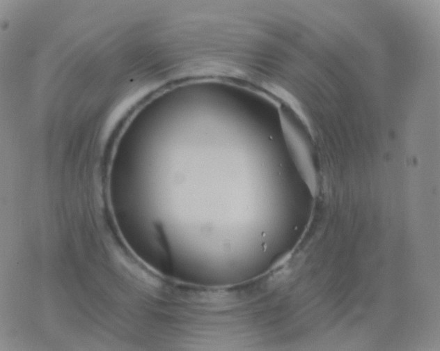 X0000076431120200610202238