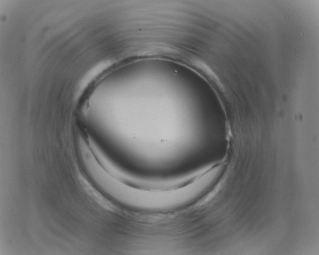 X0000076431122200610202238