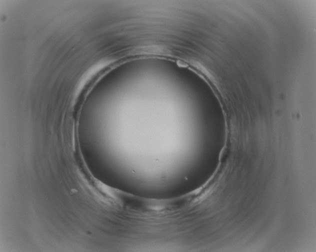 X0000076431123200610202238