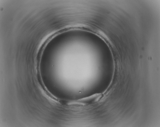 X0000076431124200610202238