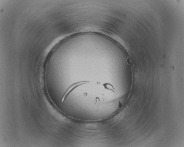 X0000076431126200610202238