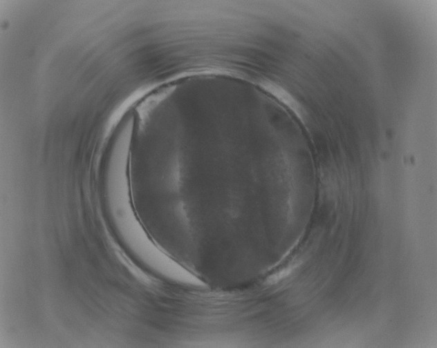 X0000076431127200610202238