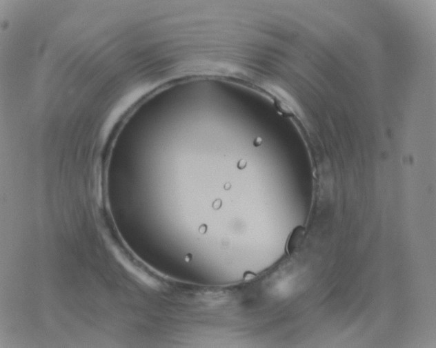 X0000076431128200610202238