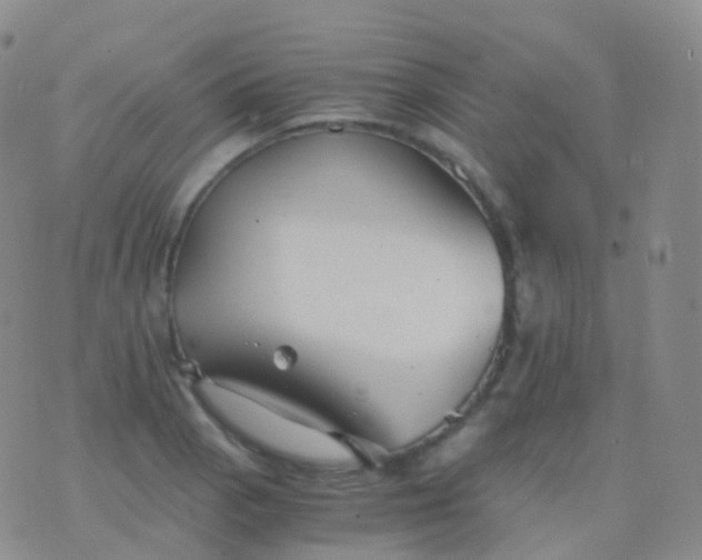 X0000076431129200610202238