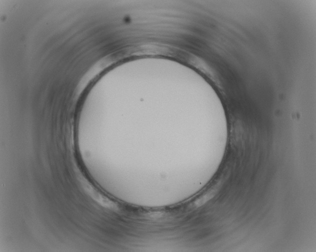 X0000076431130200610202238