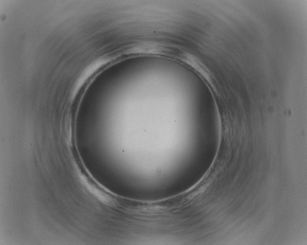 X0000076431131200610202238