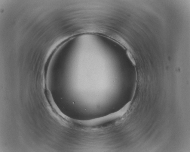 X0000076431132200610202238