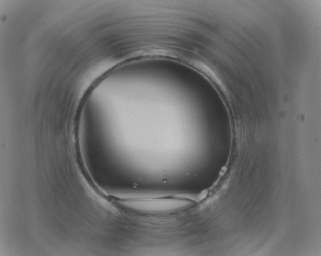 X0000076431133200610202238