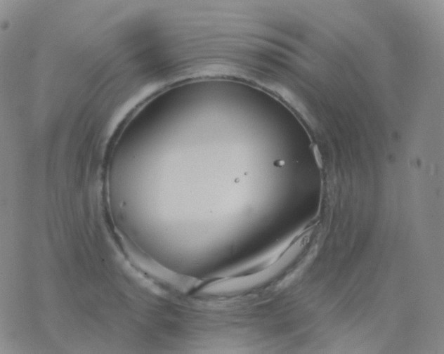 X0000076431134200610202238