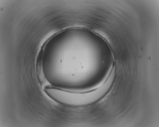 X0000076431135200610202238