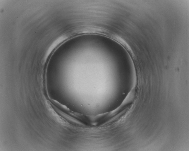 X0000076431138200610202238