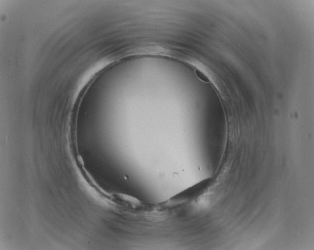 X0000076431139200610202238