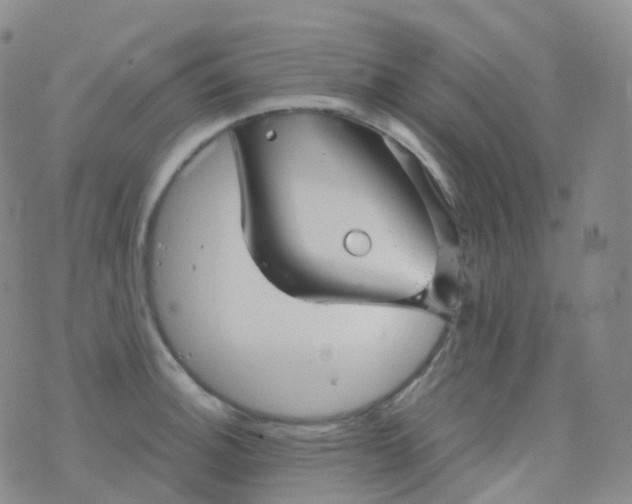 X0000076431140200610202238