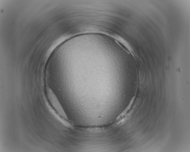 X0000076431142200610202238