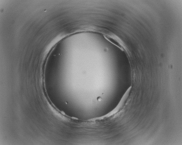 X0000076431143200610202238