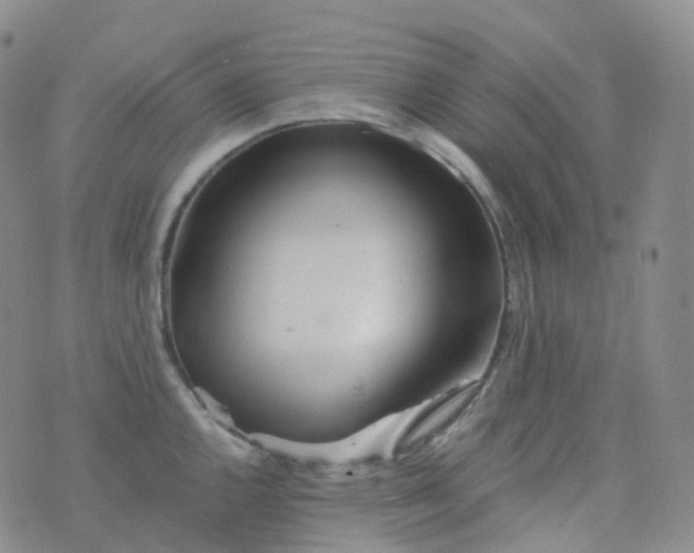 X0000076431144200610202238