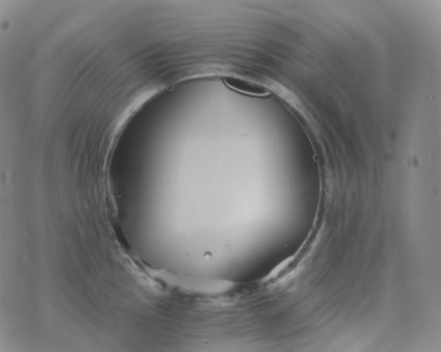 X0000076431145200610202238