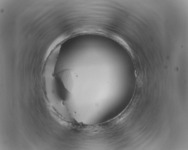 X0000076431146200610202238