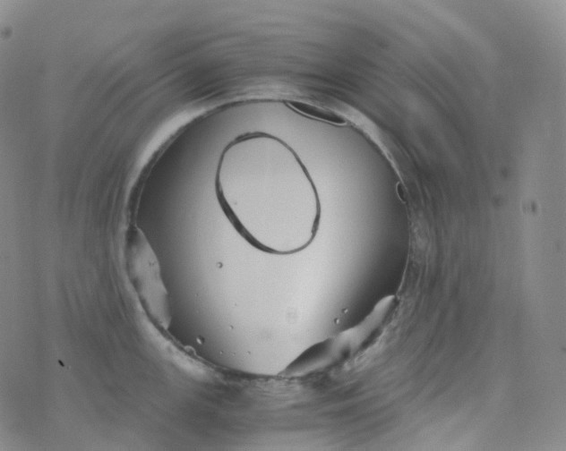 X0000076431147200610202238