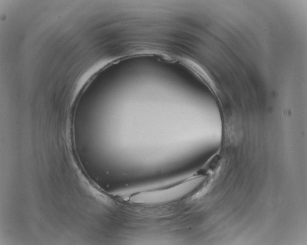 X0000076431149200610202238