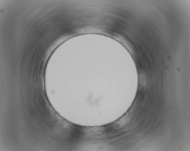 X0000076431150200610202238