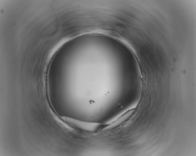 X0000076431151200610202238