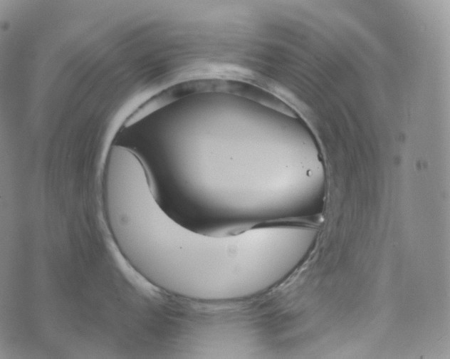 X0000076431152200610202238