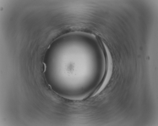 X0000076431153200610202238