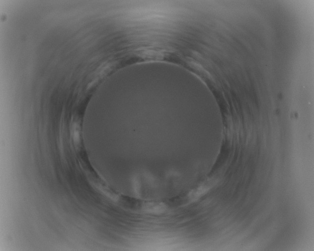 X0000076431154200610202238