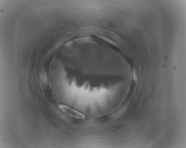 X0000076431155200610202238