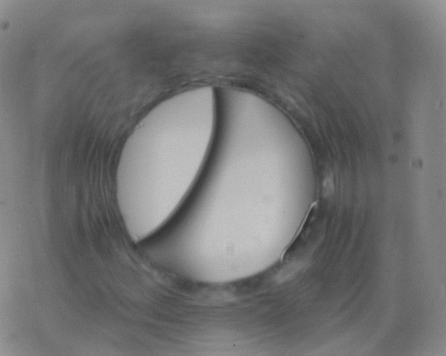 X0000076431156200610202238