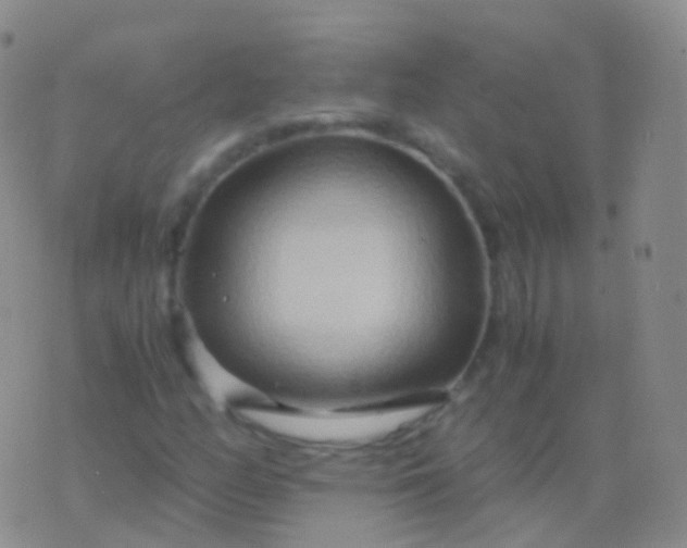 X0000076431158200610202238