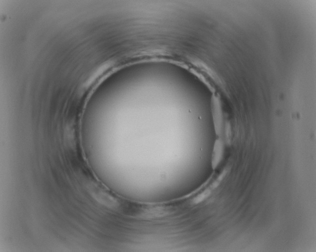 X0000076431162200610202237