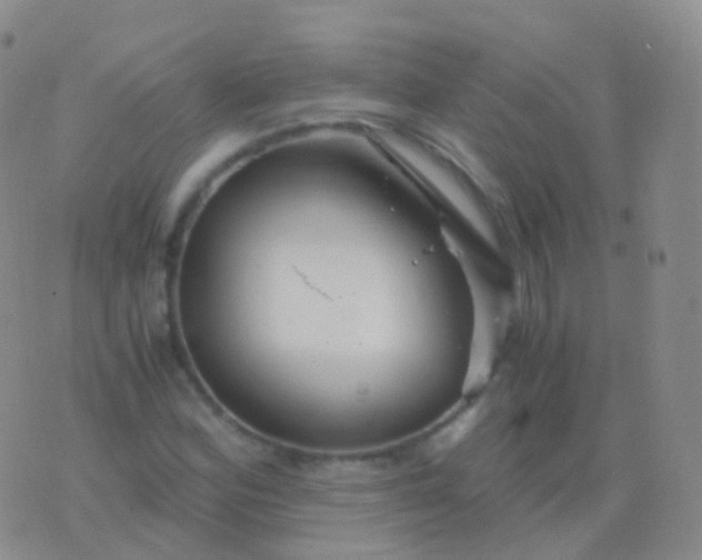 X0000076431164200610202237