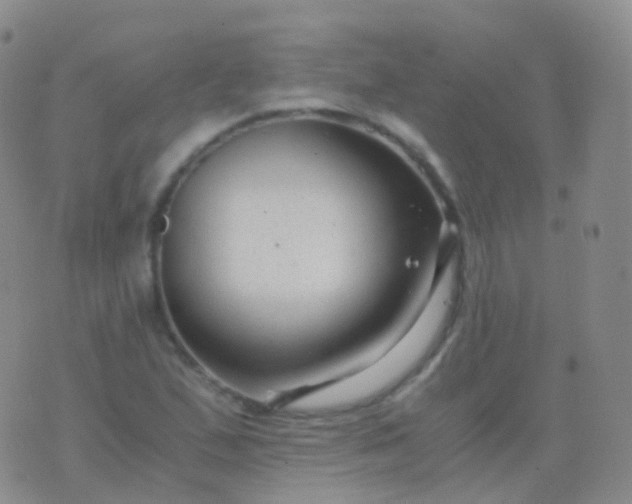 X0000076431167200610202237