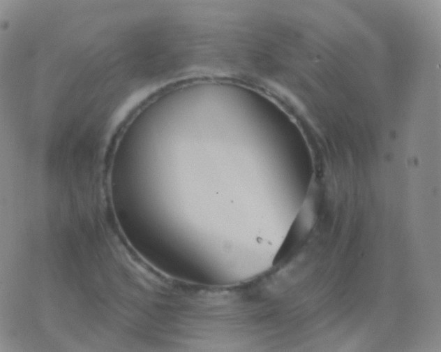 X0000076431168200610202237