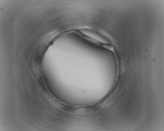 X0000076431169200610202237