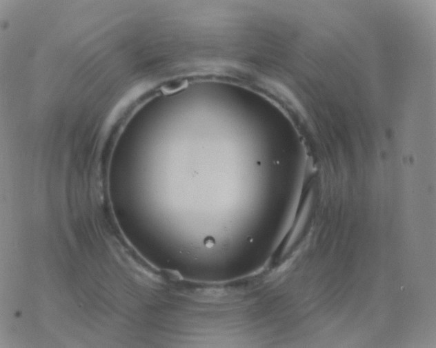 X0000076431172200610202237