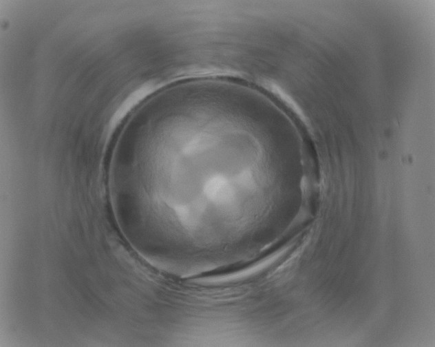 X0000076431173200610202237