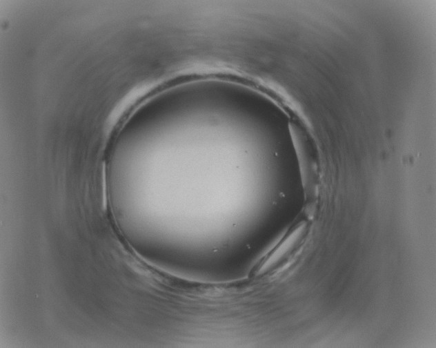 X0000076431175200610202237