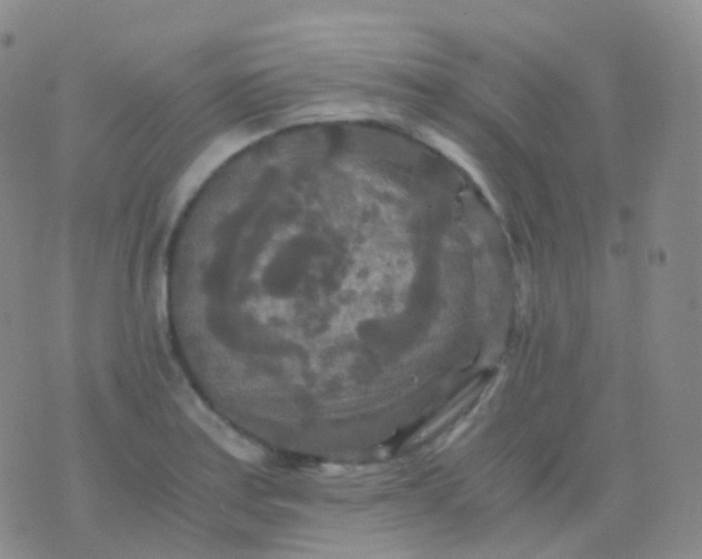 X0000076431179200610202237