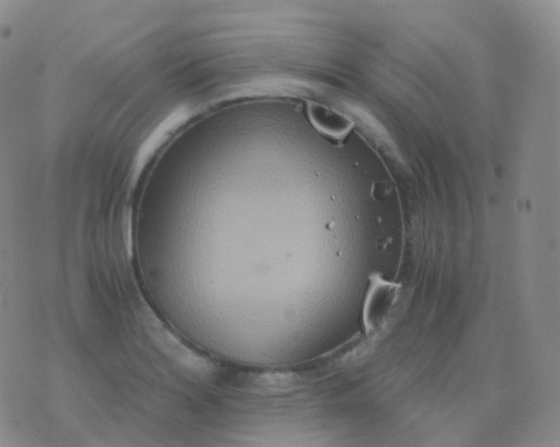 X0000076431180200610202237