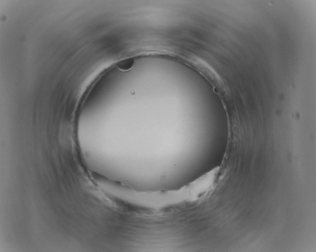 X0000076431182200610202237