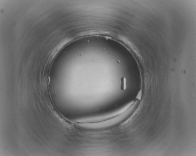 X0000076431185200610202237