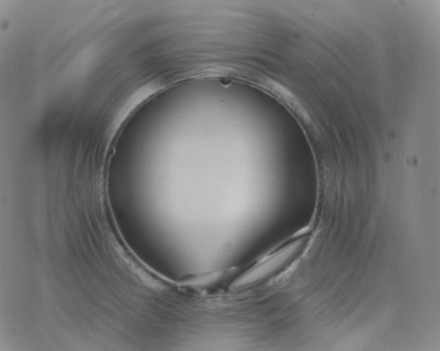 X0000076431186200610202237