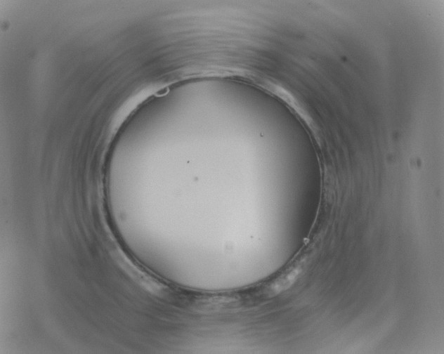 X0000076431187200610202237